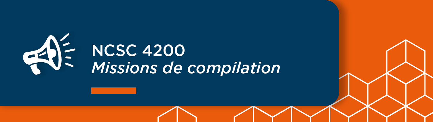 Bandeau - Mise en garde de l'inspection professionnelle - Missions de compilation