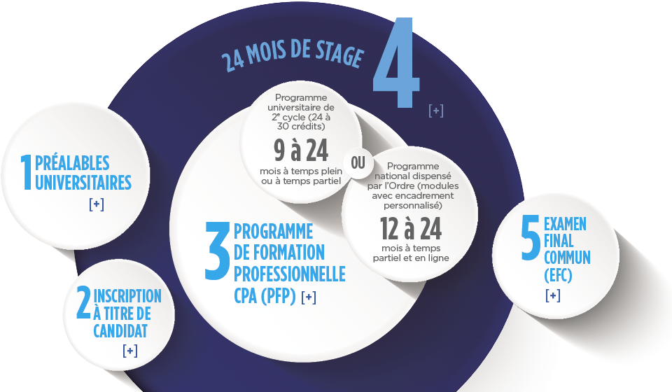 Étapes pour devenir CPA